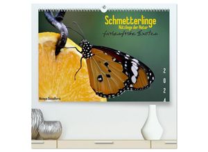 9783435150663 - Schmetterlinge Nützlinge der Natur farbenfrohe Exoten (hochwertiger Premium Wandkalender 2025 DIN A2 quer) Kunstdruck in Hochglanz