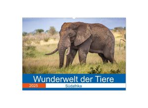 9783435150915 - Wunderwelt der Tiere - Südafrika (Wandkalender 2025 DIN A2 quer) CALVENDO Monatskalender