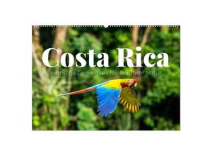 9783435153084 - Costa Rica - exotische Tierwelt und unberührte Natur (Wandkalender 2025 DIN A2 quer) CALVENDO Monatskalender