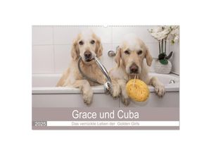 9783435153138 - Grace und Cuba - Das verrückte Leben der Golden Girls (Wandkalender 2025 DIN A2 quer) CALVENDO Monatskalender