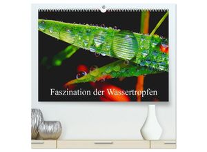 9783435153558 - Faszination Wassertropfen (hochwertiger Premium Wandkalender 2025 DIN A2 quer) Kunstdruck in Hochglanz