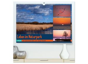 9783435155972 - Leben am Naturpark um den Dümmer See (hochwertiger Premium Wandkalender 2025 DIN A2 quer) Kunstdruck in Hochglanz