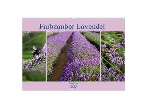 9783435156580 - Farbzauber Lavendel (Wandkalender 2025 DIN A2 quer) CALVENDO Monatskalender