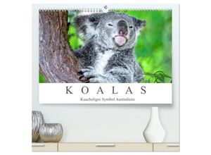 9783435158744 - Koalas - Kuscheliges Symbol Australiens (hochwertiger Premium Wandkalender 2025 DIN A2 quer) Kunstdruck in Hochglanz