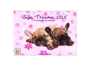 9783435159338 - Süße Träume 2025 - schlafende Hundewelpen (Wandkalender 2025 DIN A2 quer) CALVENDO Monatskalender