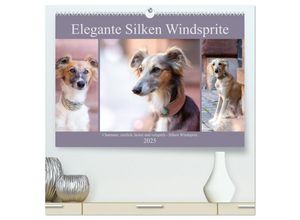 9783435226856 - Elegante Silken Windsprite (hochwertiger Premium Wandkalender 2025 DIN A2 quer) Kunstdruck in Hochglanz