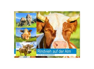 9783435229031 - Rindvieh auf der Alm Kühe im Bergsommer (Wandkalender 2025 DIN A2 quer) CALVENDO Monatskalender