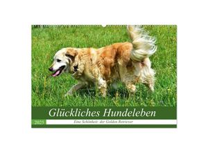 9783435229086 - Glückliches Hundeleben (Wandkalender 2025 DIN A2 quer) CALVENDO Monatskalender