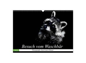 9783435229178 - Besuch vom Waschbär (Wandkalender 2025 DIN A3 quer) CALVENDO Monatskalender