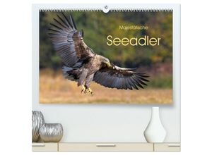 9783435229192 - Majestätische Seeadler (hochwertiger Premium Wandkalender 2025 DIN A2 quer) Kunstdruck in Hochglanz