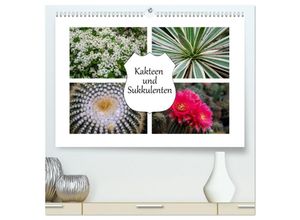 9783435229406 - Kakteen und Sukkulenten (hochwertiger Premium Wandkalender 2025 DIN A2 quer) Kunstdruck in Hochglanz
