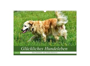 9783435229468 - Glückliches Hundeleben (Wandkalender 2025 DIN A3 quer) CALVENDO Monatskalender