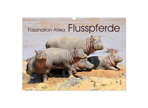 9783435229482 - Faszination Afrika Flusspferde (Wandkalender 2025 DIN A3 quer) CALVENDO Monatskalender