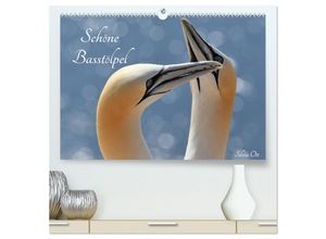 9783435229666 - Schöne Basstölpel (hochwertiger Premium Wandkalender 2025 DIN A2 quer) Kunstdruck in Hochglanz