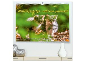 9783435229673 - Wildkatzenbabys - wild und zuckersüß (hochwertiger Premium Wandkalender 2025 DIN A2 quer) Kunstdruck in Hochglanz