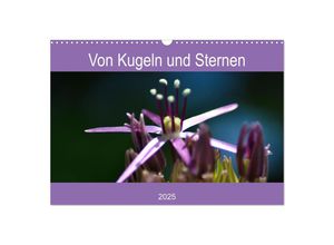 9783435229901 - Von Kugeln und Sternen (Wandkalender 2025 DIN A3 quer) CALVENDO Monatskalender 9783435229901 - Von Kugeln und Sternen (Wandkalender 2025 DIN A3 quer) CALVENDO Monatskalender