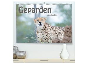 9783435231645 - Geparden - schnelle Jäger (hochwertiger Premium Wandkalender 2025 DIN A2 quer) Kunstdruck in Hochglanz