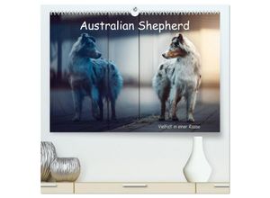 9783435231812 - Australian Shepherd - Vielfalt in einer Rasse (hochwertiger Premium Wandkalender 2025 DIN A2 quer) Kunstdruck in Hochglanz