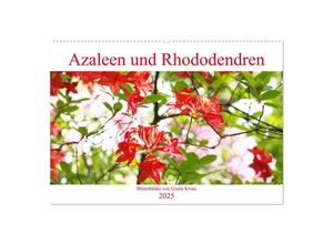 9783435232079 - Azaleen und Rhododendren Blütenbilder (Wandkalender 2025 DIN A2 quer) CALVENDO Monatskalender