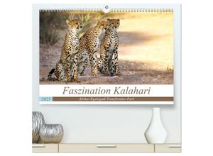 9783435232246 - Faszination Kalahari (hochwertiger Premium Wandkalender 2025 DIN A2 quer) Kunstdruck in Hochglanz