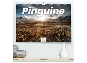 9783435234554 - Pinguine - Die sympathischen Frack-Träger (hochwertiger Premium Wandkalender 2025 DIN A2 quer) Kunstdruck in Hochglanz