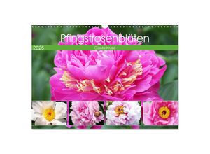 9783435234592 - Pfingstrosenblüten (Wandkalender 2025 DIN A3 quer) CALVENDO Monatskalender