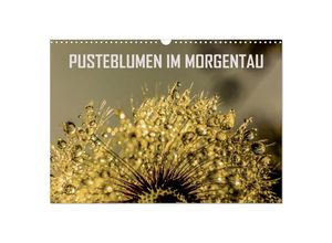 9783435234745 - Pusteblumen im Morgentau (Wandkalender 2025 DIN A3 quer) CALVENDO Monatskalender