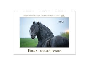 9783435235407 - Friesen - stolze Giganten (Wandkalender 2025 DIN A2 quer) CALVENDO Monatskalender