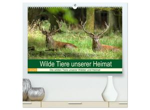 9783435236893 - Wilde Tiere unserer Heimat (hochwertiger Premium Wandkalender 2025 DIN A2 quer) Kunstdruck in Hochglanz