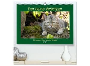 9783435237708 - Der kleine Waldtiger (hochwertiger Premium Wandkalender 2025 DIN A2 quer) Kunstdruck in Hochglanz