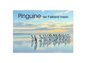 9783435237722 - Pinguine der Falkland Inseln (Wandkalender 2025 DIN A3 quer) CALVENDO Monatskalender