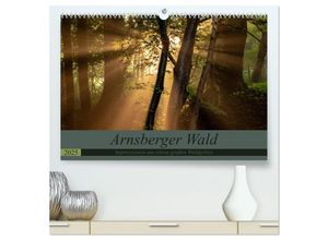 9783435238163 - Arnsberger Wald (hochwertiger Premium Wandkalender 2025 DIN A2 quer) Kunstdruck in Hochglanz