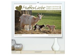 9783435238347 - Mutterliebe - Ziegen mit ihren süßen Lämmern (hochwertiger Premium Wandkalender 2025 DIN A2 quer) Kunstdruck in Hochglanz