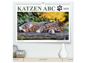 9783435238545 - Katzen ABC (hochwertiger Premium Wandkalender 2025 DIN A2 quer) Kunstdruck in Hochglanz