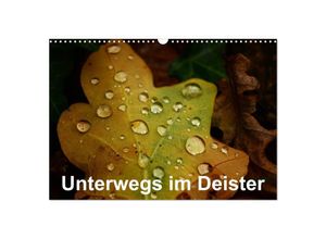 9783435240470 - Unterwegs im Deister (Wandkalender 2025 DIN A3 quer) CALVENDO Monatskalender