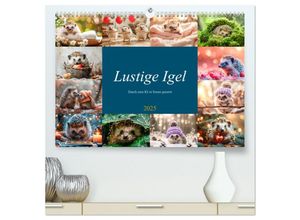 9783435243815 - Lustige Igel (hochwertiger Premium Wandkalender 2025 DIN A2 quer) Kunstdruck in Hochglanz