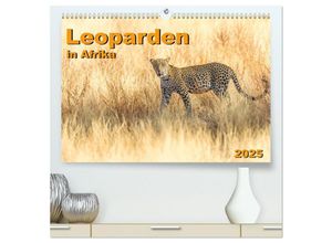 9783435244881 - Leoparden in Afrika (hochwertiger Premium Wandkalender 2025 DIN A2 quer) Kunstdruck in Hochglanz