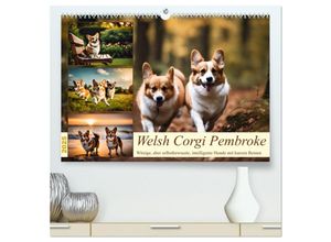 9783435245635 - Welsh Corgi Pembroke (hochwertiger Premium Wandkalender 2025 DIN A2 quer) Kunstdruck in Hochglanz