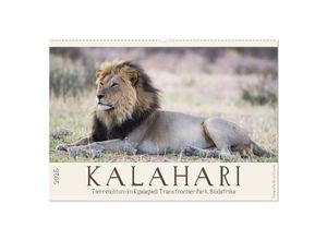 9783435245727 - Kalahari - Tierreichtum im Kgalagadi Transfrontier Park Südafrika (Wandkalender 2025 DIN A2 quer) CALVENDO Monatskalender