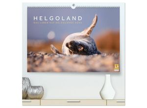 9783435247011 - Helgoland - Das Leben auf der Düne Helgolands (hochwertiger Premium Wandkalender 2025 DIN A2 quer) Kunstdruck in Hochglanz