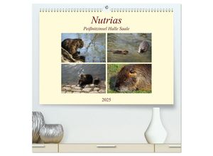 9783435247578 - Nutrias Peißnitzinsel Halle Saale (hochwertiger Premium Wandkalender 2025 DIN A2 quer) Kunstdruck in Hochglanz