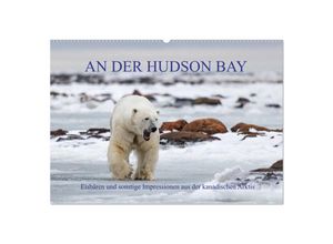 9783435248636 - AN DER HUDSON BAY (Wandkalender 2025 DIN A2 quer) CALVENDO Monatskalender