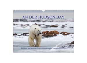 9783435249060 - AN DER HUDSON BAY (Wandkalender 2025 DIN A3 quer) CALVENDO Monatskalender