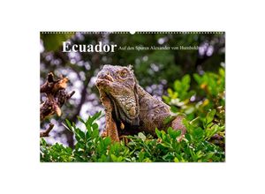 9783435251148 - Ecuador - Auf den Spuren Alexander von Humboldts (Wandkalender 2025 DIN A2 quer) CALVENDO Monatskalender