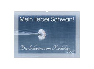 9783435251292 - Mein lieber Schwan! Die Schwäne vom Kochelsee (Wandkalender 2025 DIN A2 quer) CALVENDO Monatskalender