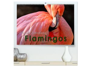 9783435252992 - Flamingos - elegante Schönheiten (hochwertiger Premium Wandkalender 2025 DIN A2 quer) Kunstdruck in Hochglanz