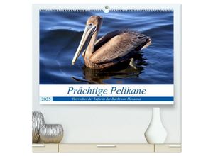 9783435253593 - Prächtige Pelikane - Herrscher der Lüfte in der Bucht von Havanna (hochwertiger Premium Wandkalender 2025 DIN A2 quer) Kunstdruck in Hochglanz