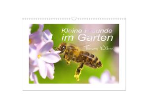 9783435253944 - Kleine Freunde im Garten (Wandkalender 2025 DIN A3 quer) CALVENDO Monatskalender