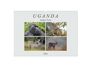 9783435254019 - Afrikas Perle Uganda (Wandkalender 2025 DIN A2 quer) CALVENDO Monatskalender