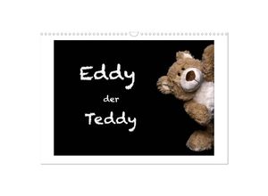 9783435254149 - Eddy der Teddy (Wandkalender 2025 DIN A3 quer) CALVENDO Monatskalender